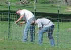 Chicken Wire Fence